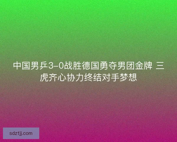 中国男乒3-0战胜德国勇夺男团金牌 三虎齐心协力终结对手梦想 中国男乒3-0战胜德国勇夺男团金牌 三虎齐心协力终结对手梦想