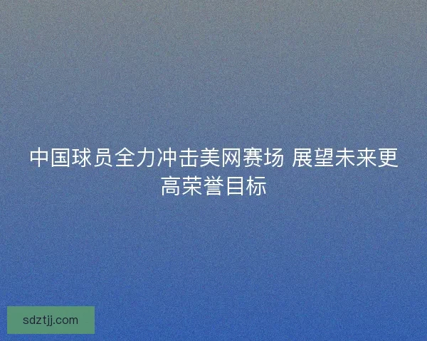中国球员全力冲击美网赛场 展望未来更高荣誉目标