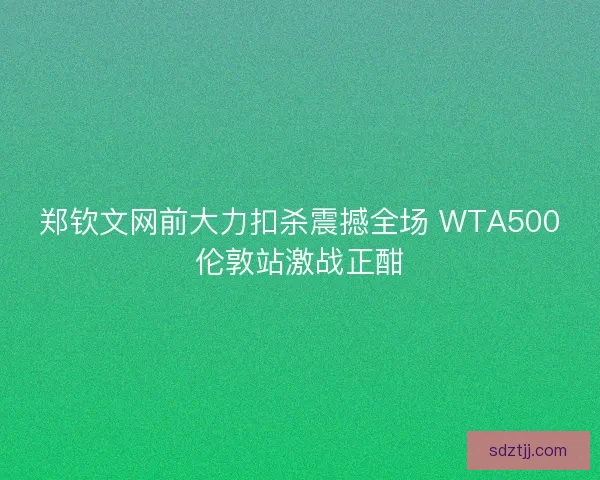 郑钦文网前大力扣杀震撼全场 WTA500伦敦站激战正酣
